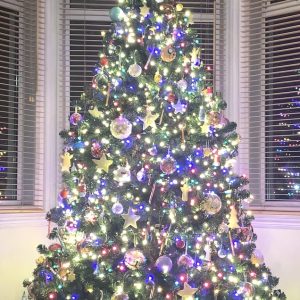 The Pre-lit Majestic Dew Pine Potted Tree (3ft to 4ft)